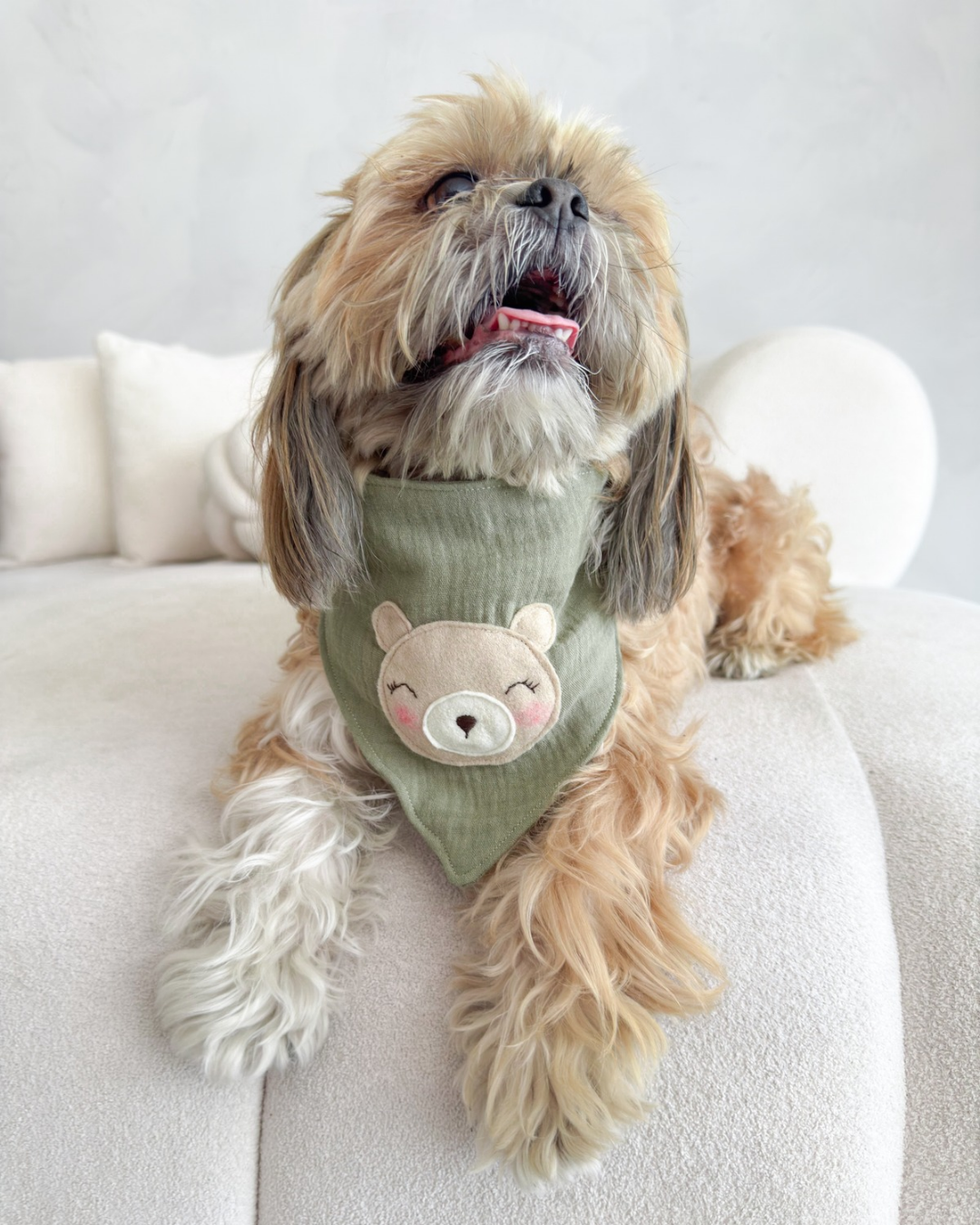 Bandana Spring bear