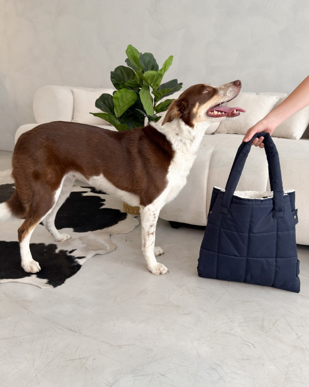 Puppy tote