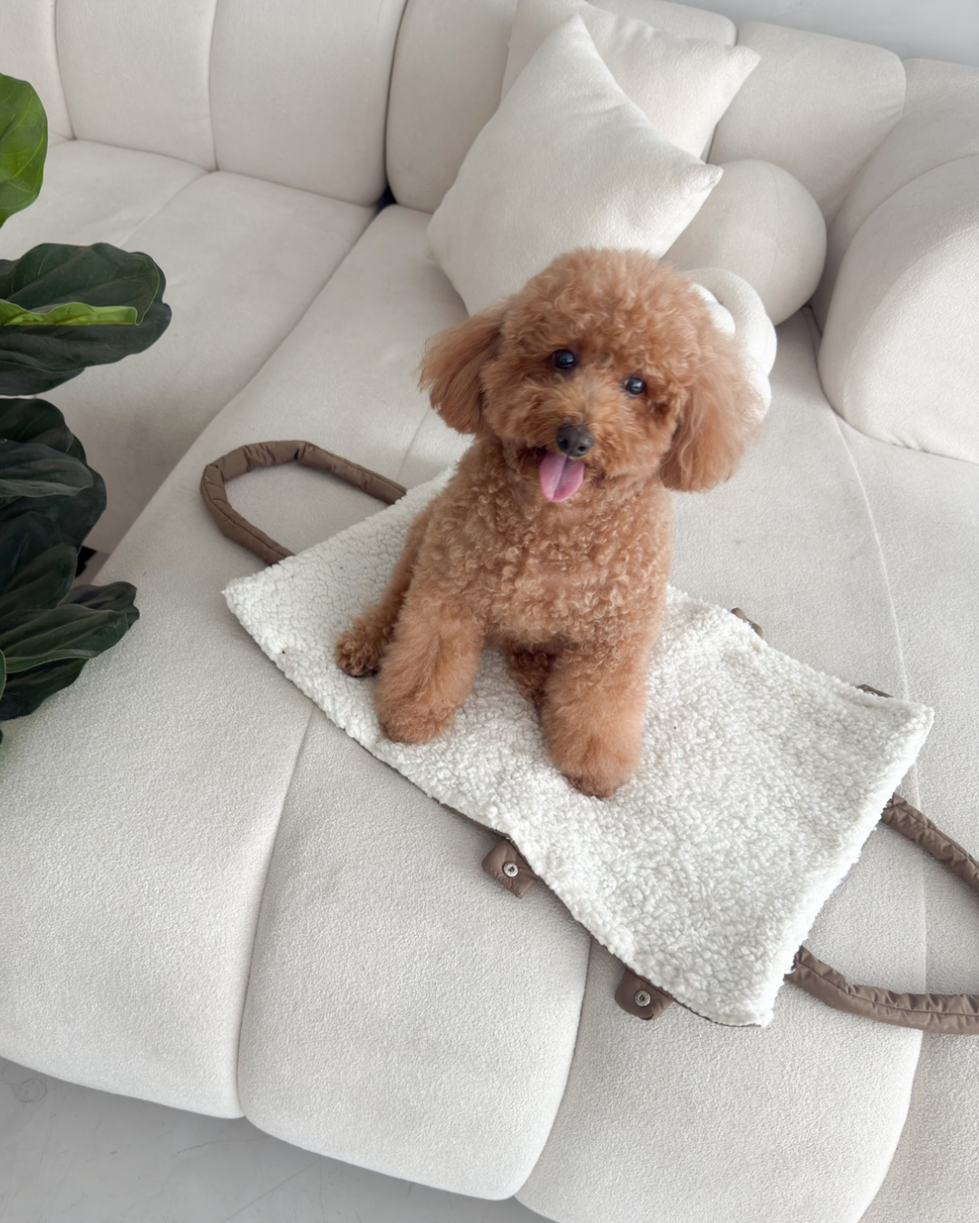 Puppy tote