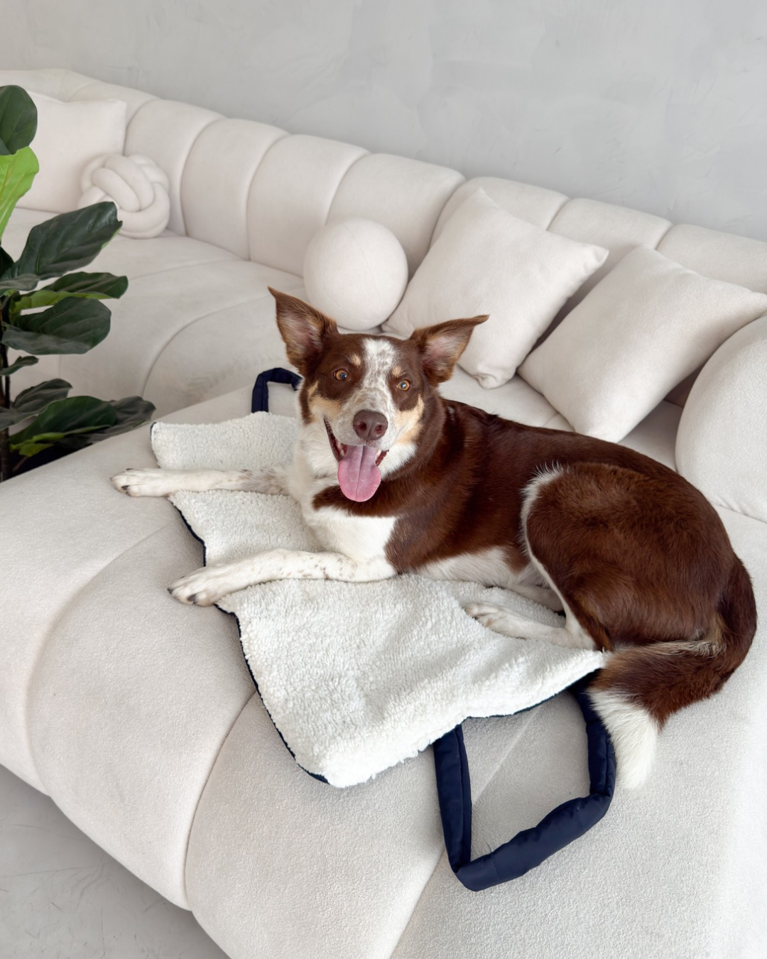 Puppy tote