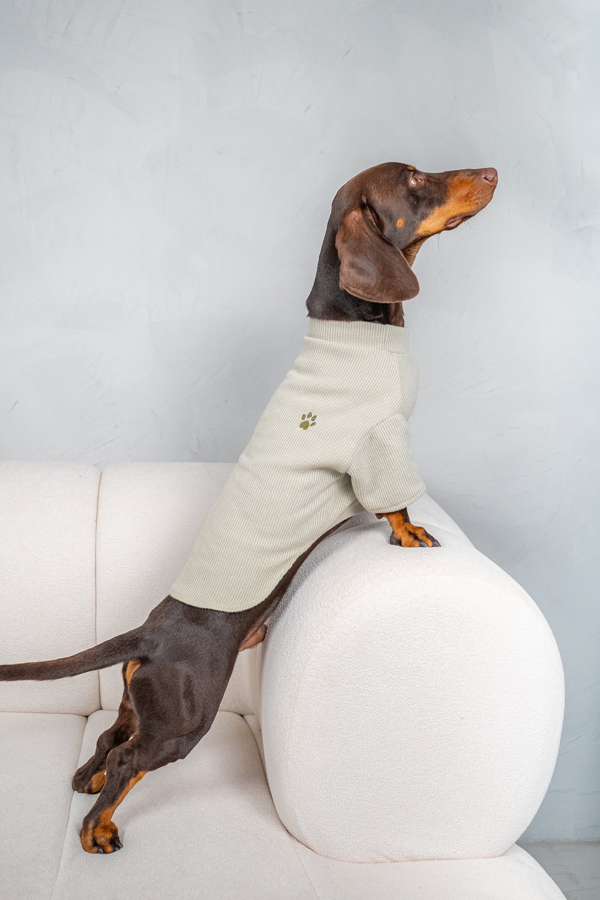 Arlo sweater