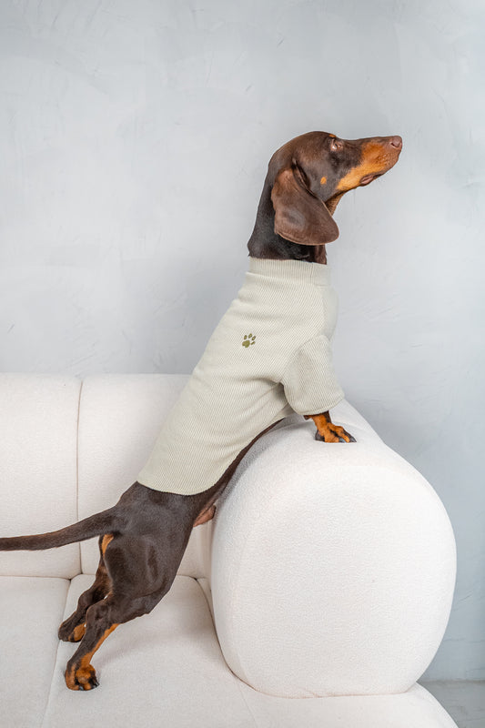 Arlo sweater