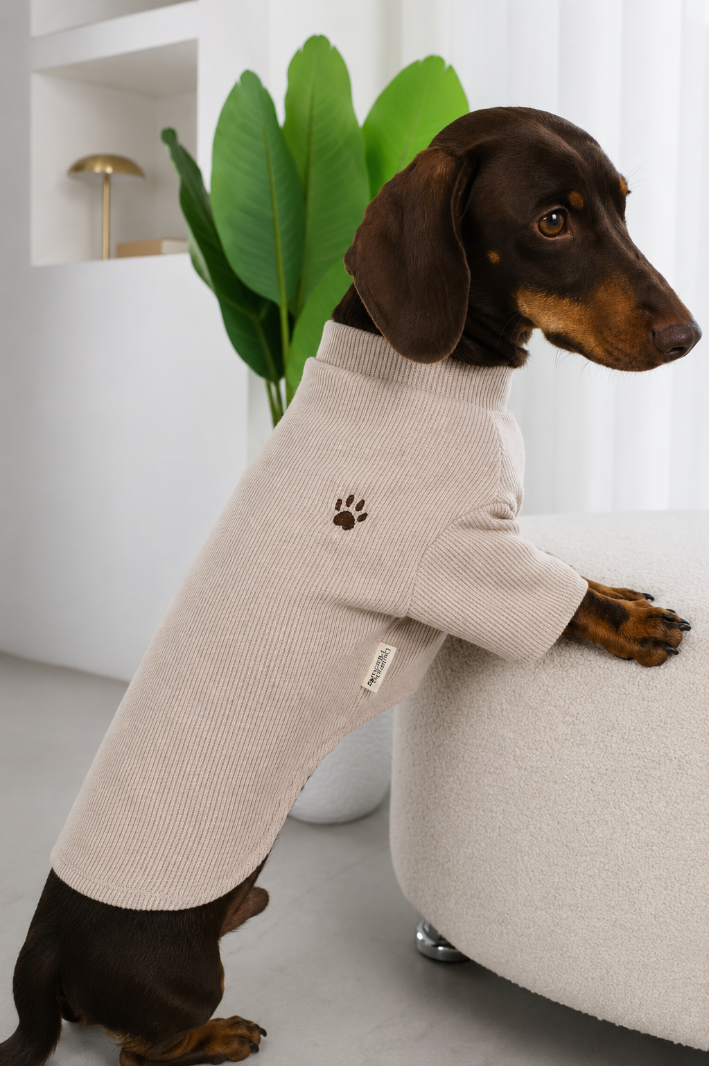 Arlo sweater