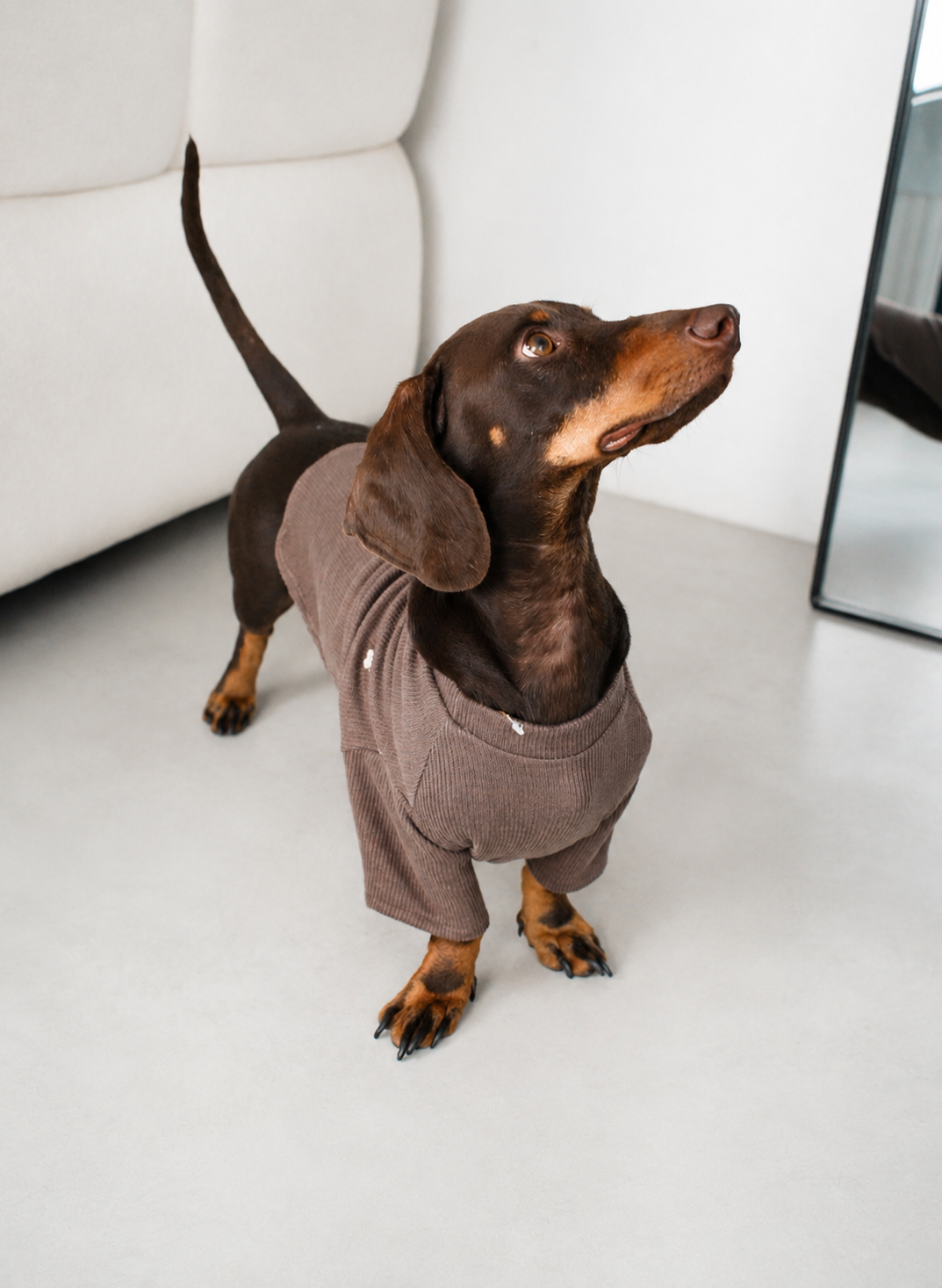 Arlo sweater
