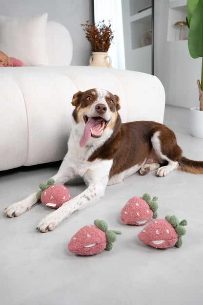 Fresa Snuffle
