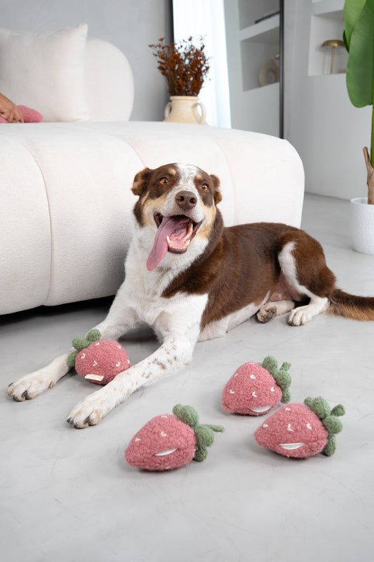 Fresa Snuffle