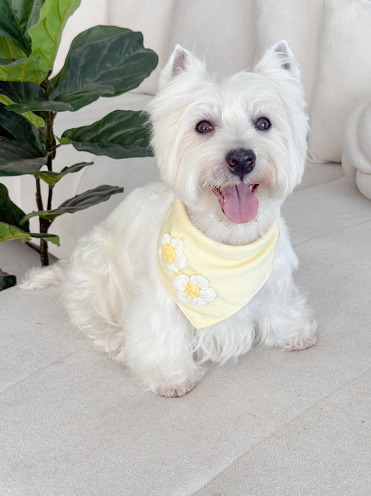 Bandana Flowers