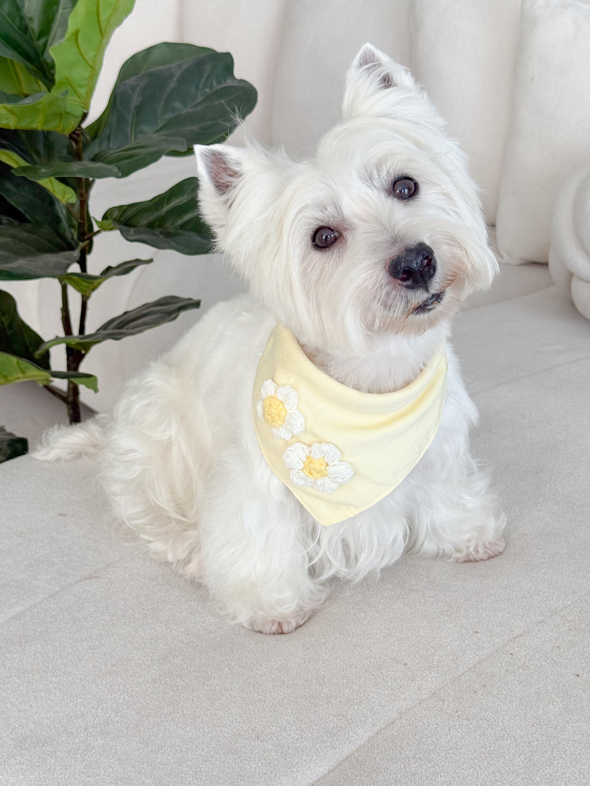 Bandana Flowers