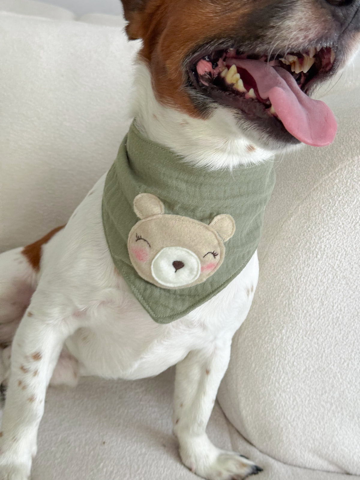 Bandana Spring bear