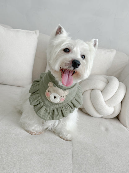 Bandana Spring bear
