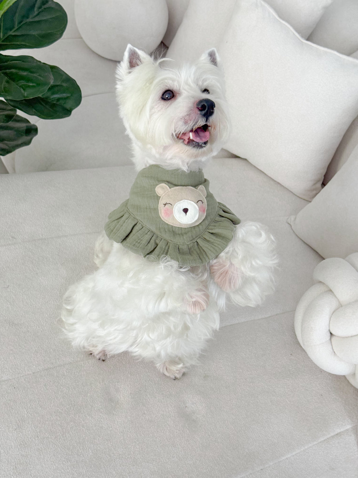 Bandana Spring bear
