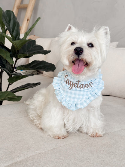 Bandana Picnic
