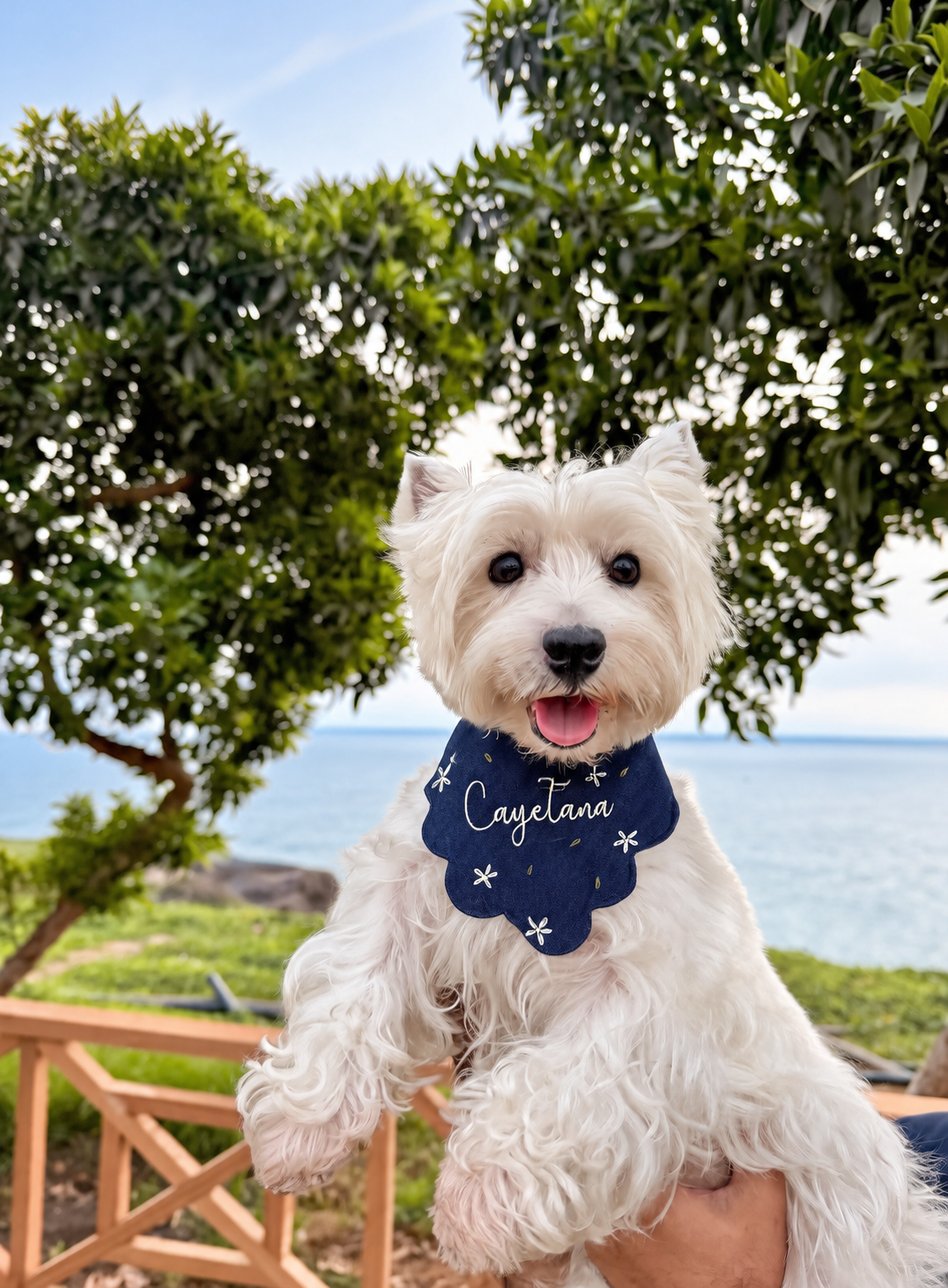 Bandana Camelia